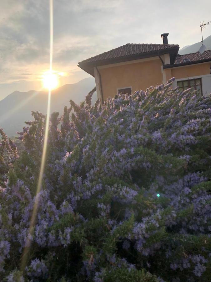 La Villa Degli Orti Borgo Valsugana Buitenkant foto